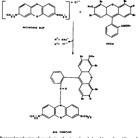 enterobacter aerogenes on emb|Mechanism of Action of Eosin.